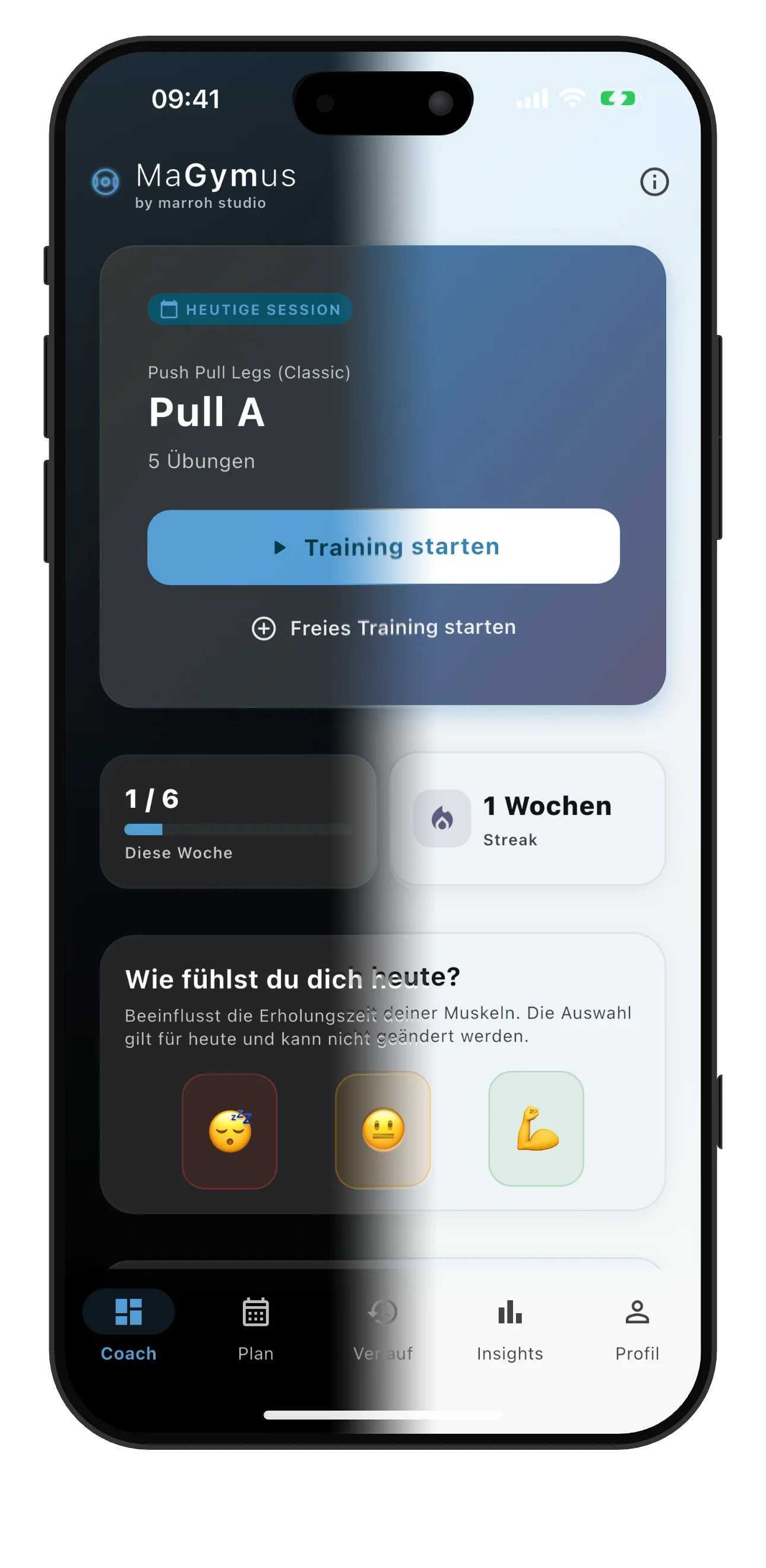 Premium Themes